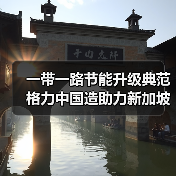 一带一路节能升级典范 格力中国造助力新加坡绿色建筑转型（图2）