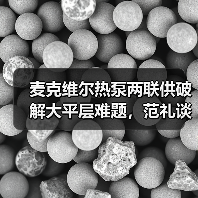 麦克维尔热泵两联供破解大平层难题,范礼谈成长与服务策略(图4) 麦克维尔热泵两联供破解大平层难题,范礼谈成长与服务策略(图4)