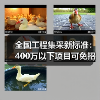 全国工程集采新标准:400万以下项目可免招标(图4) 全国工程集采新标准:400万以下项目可免招标(图4)