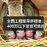 全国工程集采新标准:400万以下项目可免招标(图3) 全国工程集采新标准:400万以下项目可免招标(图3)