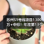 苏州S1号线项目1300万+中标！年度第13个轨道交通项目落地（图3）
