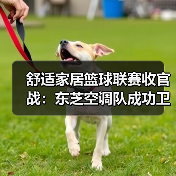 舒适家居篮球联赛收官战：东芝空调队成功卫冕（图2）