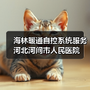 海林暖通自控系统服务河北河间市人民医院（图2）