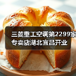 三菱重工空调第2299家专卖店湖北宜昌开业（图4）
