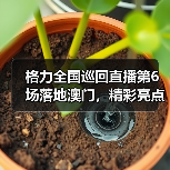 格力全国巡回直播第6场落地澳门,精彩亮点抢先看(图3) 格力全国巡回直播第6场落地澳门,精彩亮点抢先看(图3)