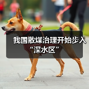我国散煤治理开始步入“深水区”(图2) 我国散煤治理开始步入“深水区”(图2)