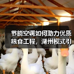 节能空调如何助力优质粮食工程，湖州模式引领绿色储粮新趋势（图2）