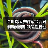 金叶轮大赛评审会召开 创新如何引领暖通行业变革?(图1) 金叶轮大赛评审会召开 创新如何引领暖通行业变革?(图1)