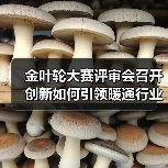 金叶轮大赛评审会召开 创新如何引领暖通行业变革?(图4) 金叶轮大赛评审会召开 创新如何引领暖通行业变革?(图4)