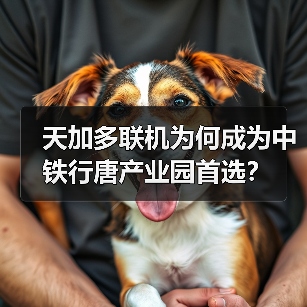 天加多联机为何成为中铁行唐产业园首选？（图2）