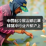 中国制冷展震撼启幕 全球制冷行业齐聚沪上（图4）
