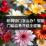 断网锁门怎么办？智能门锁应急开锁全攻略（图1）