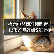 格力电器标准领跑者:13类产品连续5年上榜国际榜单(图2) 格力电器标准领跑者:13类产品连续5年上榜国际榜单(图2)