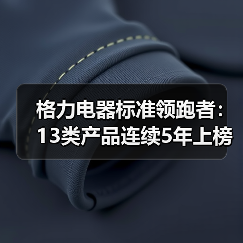 格力电器标准领跑者:13类产品连续5年上榜国际榜单(图3) 格力电器标准领跑者:13类产品连续5年上榜国际榜单(图3)