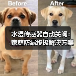 水浸传感器自动关阀：家庭防漏终极解决方案（图2）