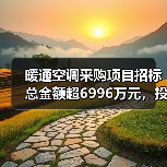 暖通空调采购项目招标总金额超6996万元,投标需关注哪些重点?(图1) 暖通空调采购项目招标总金额超6996万元,投标需关注哪些重点?(图1)