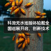 科龙无水地暖体验舱全国巡展开启,创新技术引领舒适升级(图4) 科龙无水地暖体验舱全国巡展开启,创新技术引领舒适升级(图4)