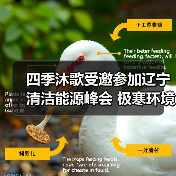 四季沐歌受邀参加辽宁清洁能源峰会 极寒环境技术突破引关注(图3) 四季沐歌受邀参加辽宁清洁能源峰会 极寒环境技术突破引关注(图3)