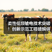 柔性低频输电技术突破!创新示范工程破解供区电力难题(图2) 柔性低频输电技术突破!创新示范工程破解供区电力难题(图2)