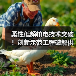 柔性低频输电技术突破!创新示范工程破解供区电力难题(图3) 柔性低频输电技术突破!创新示范工程破解供区电力难题(图3)