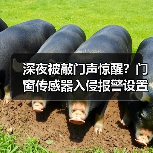 深夜被敲门声惊醒?门窗传感器入侵报警设置实战指南(图2) 深夜被敲门声惊醒?门窗传感器入侵报警设置实战指南(图2)