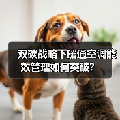 双碳战略下暖通空调能效管理如何突破?(图1) 双碳战略下暖通空调能效管理如何突破?(图1)