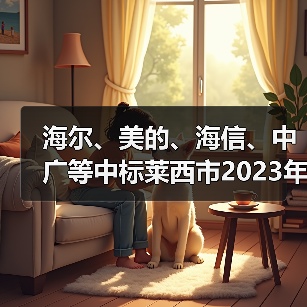 海尔、美的、海信、中广等中标莱西市2023年农村清洁取暖改造项目（图2）