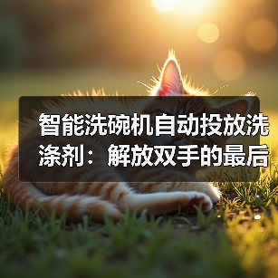 智能洗碗机自动投放洗涤剂：解放双手的最后一步值不值？（图3）