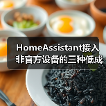 HomeAssistant接入非官方设备的三种低成本方案:小白也能轻松搞定(图2) HomeAssistant接入非官方设备的三种低成本方案:小白也能轻松搞定(图2)