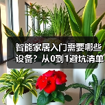 智能家居入门需要哪些设备?从0到1避坑清单(图2) 智能家居入门需要哪些设备?从0到1避坑清单(图2)